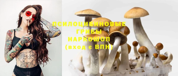 кокс Абдулино