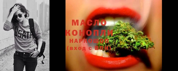 трава Ельня